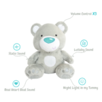 Bear Grey