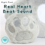 Bear Grey