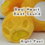 Honey Bear