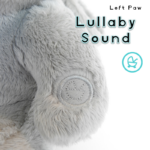 Bear Grey